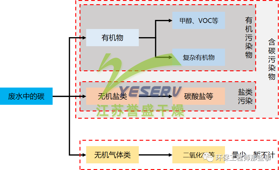 废水中的碳有什么？